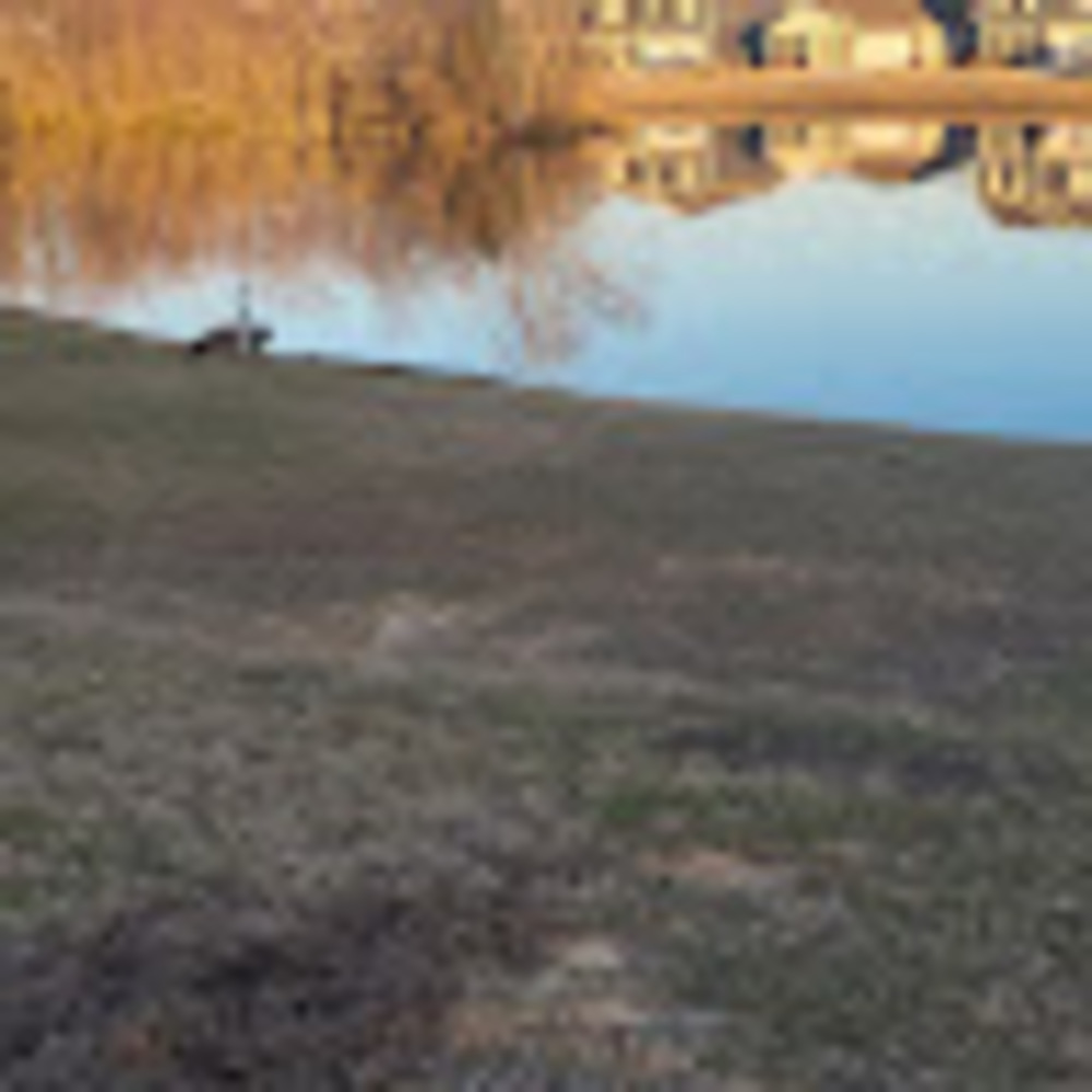 Meet your Posher, Takeshia